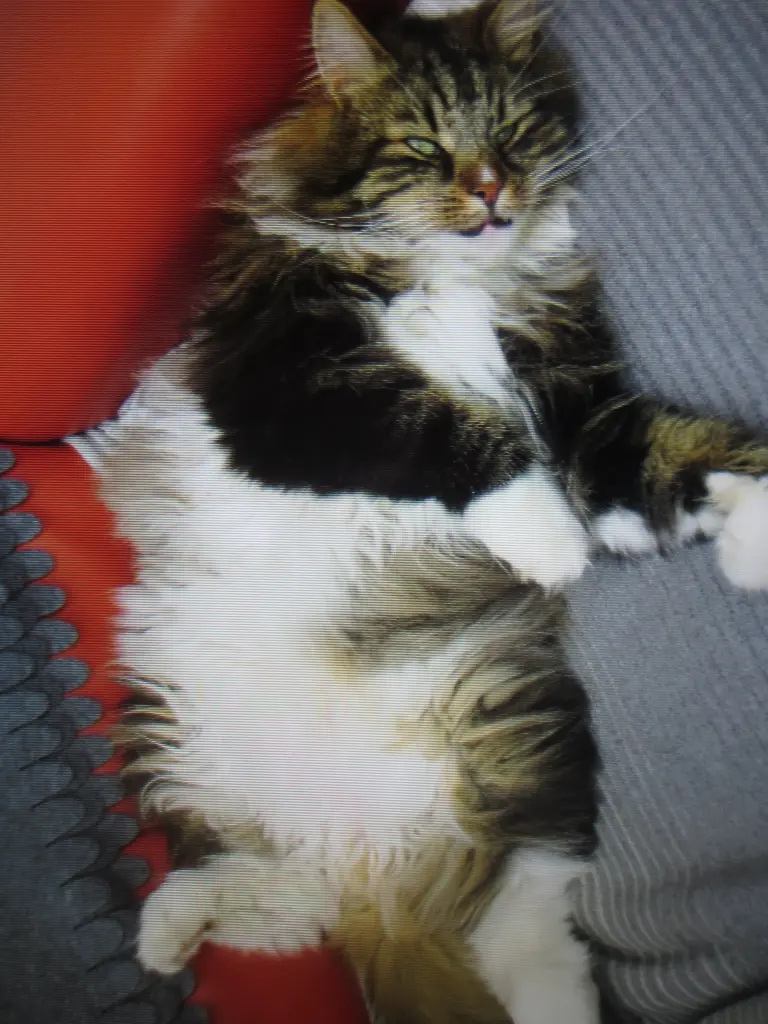 Andachtsbild von Ellen G.