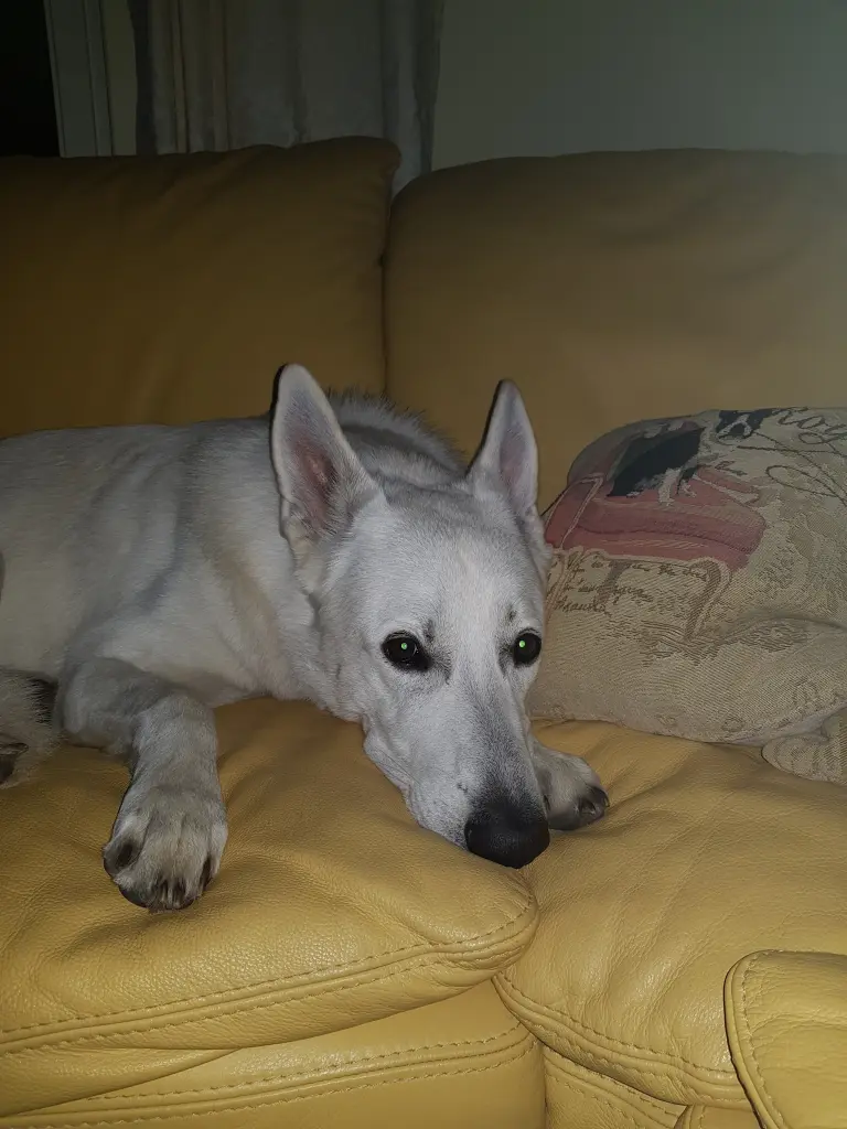 Condolence image of Angelika
