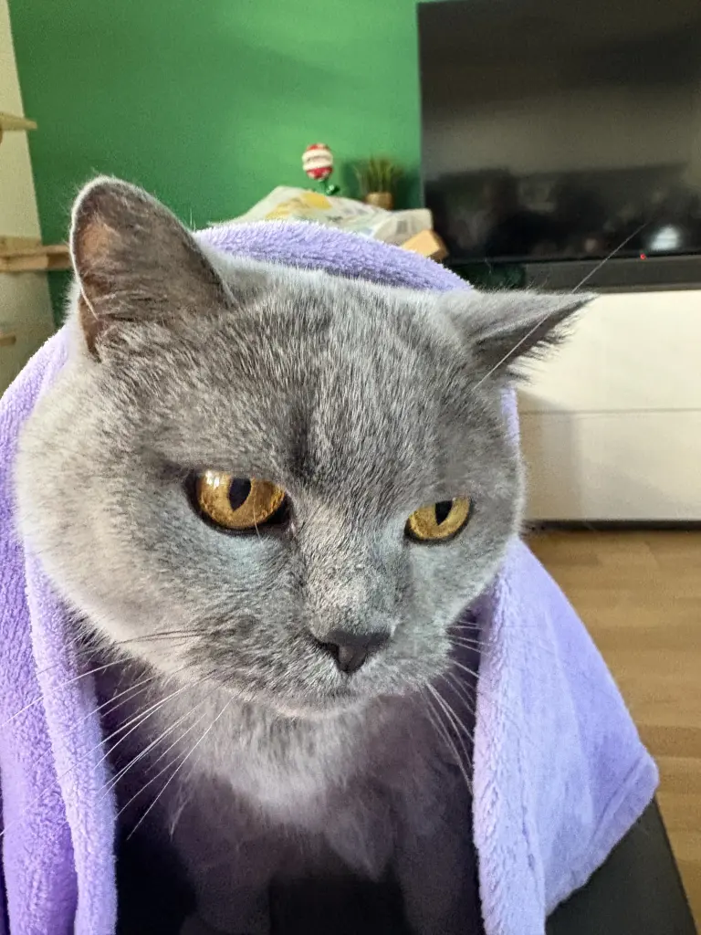 Image from Leeloo