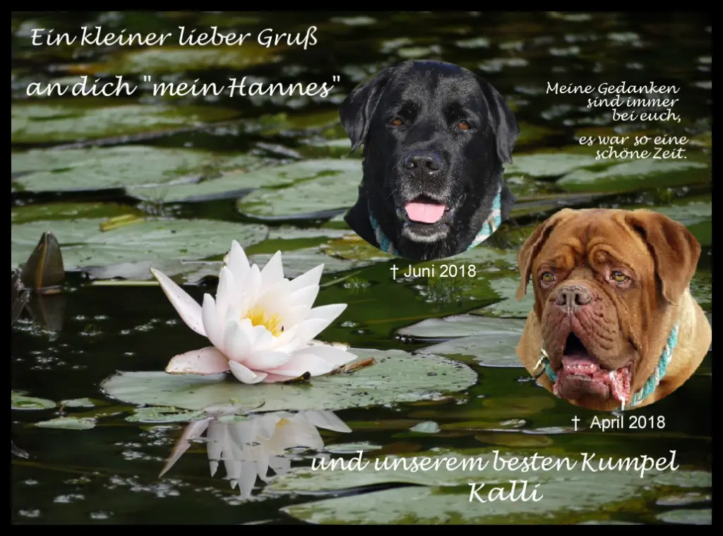 Condolence image of Birgit