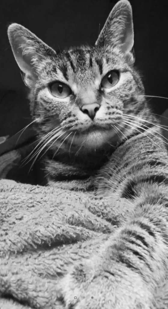 Bild von Baby