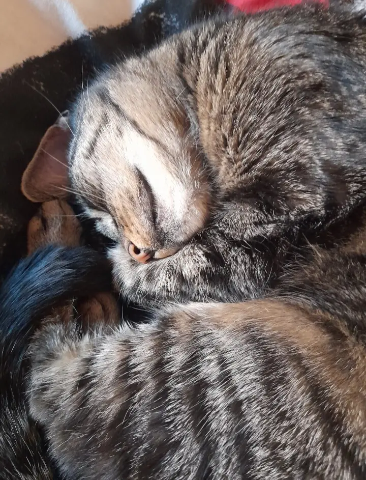 Bild von Baby