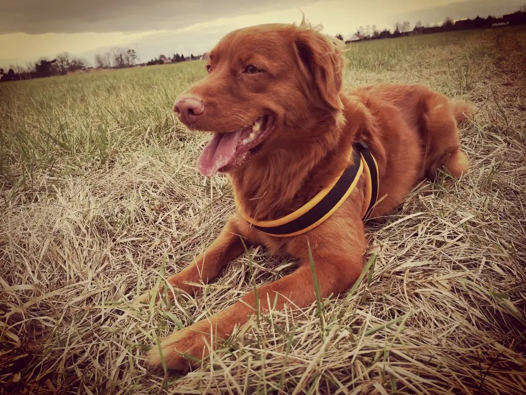 Bild von Milla