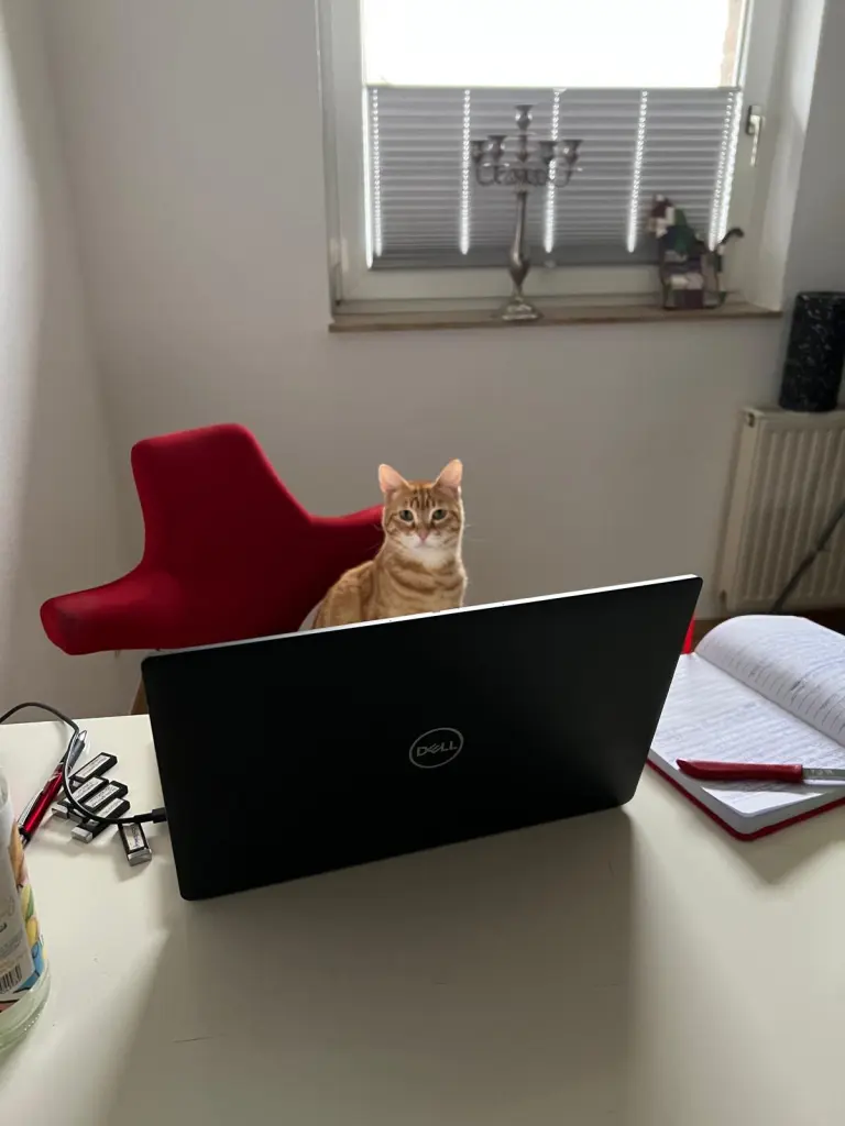 Bild von Garfield