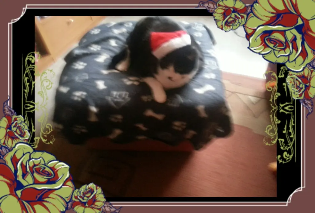 Image from Schnuki