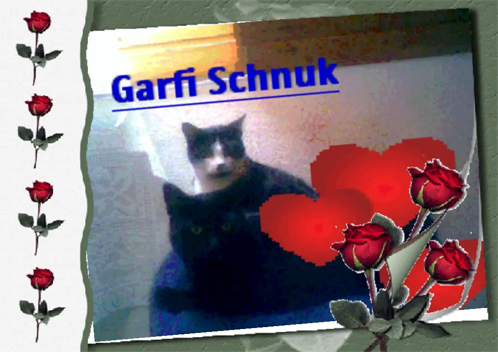 Image from Schnuki