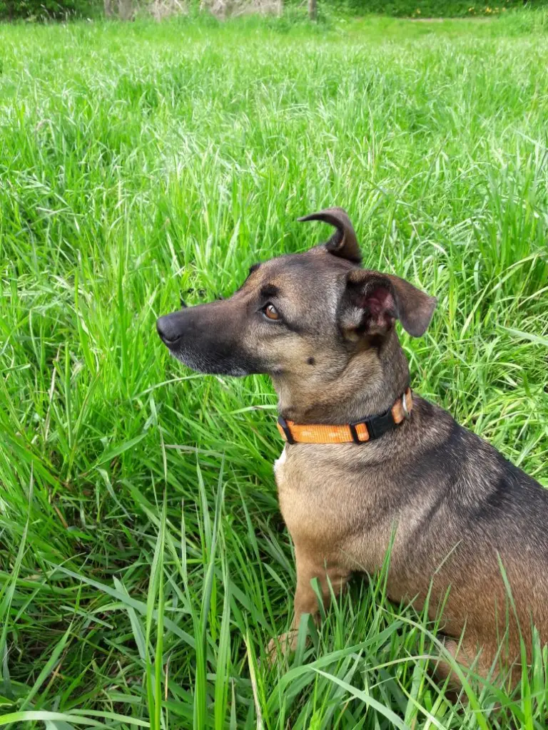 Bild von Lisa