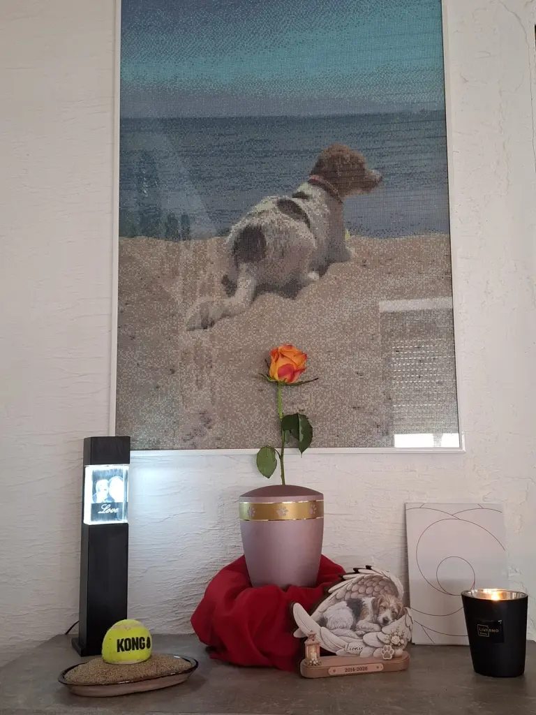 Auch über dem Tod hinaus,ist sie immer bei uns zu Hause .