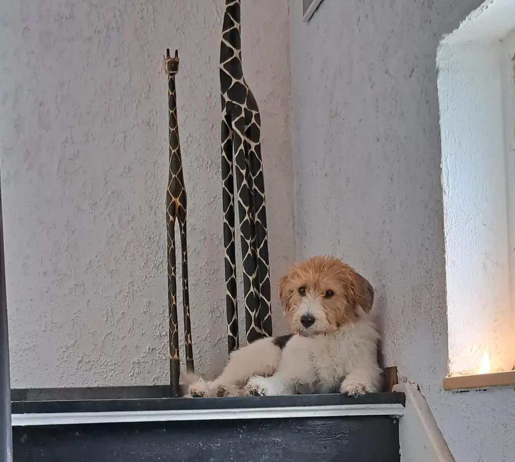 Bild von Leonie