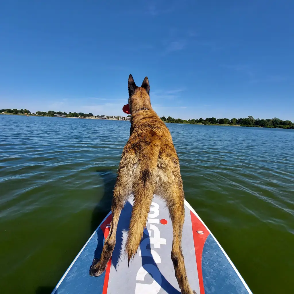 Die besten Urlaubstage mit dir