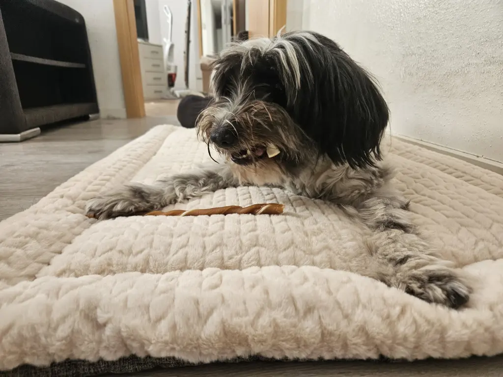 Bild von Charly