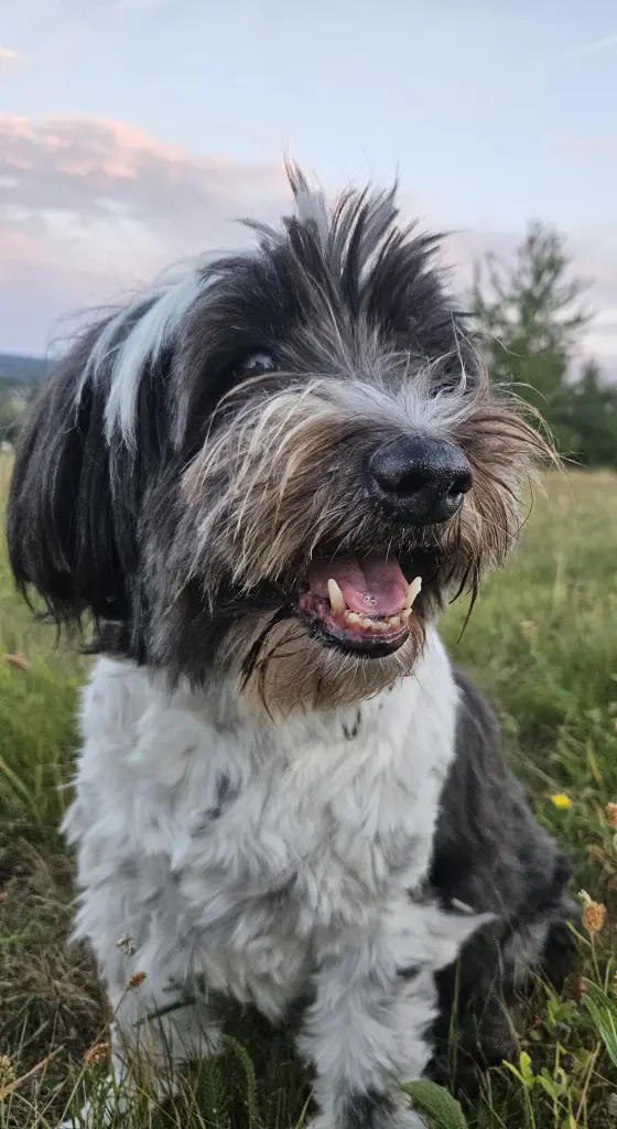 Bild von Charly