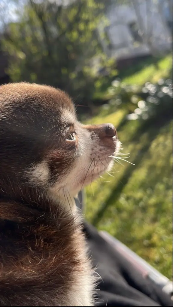 Bild von Fritzje
