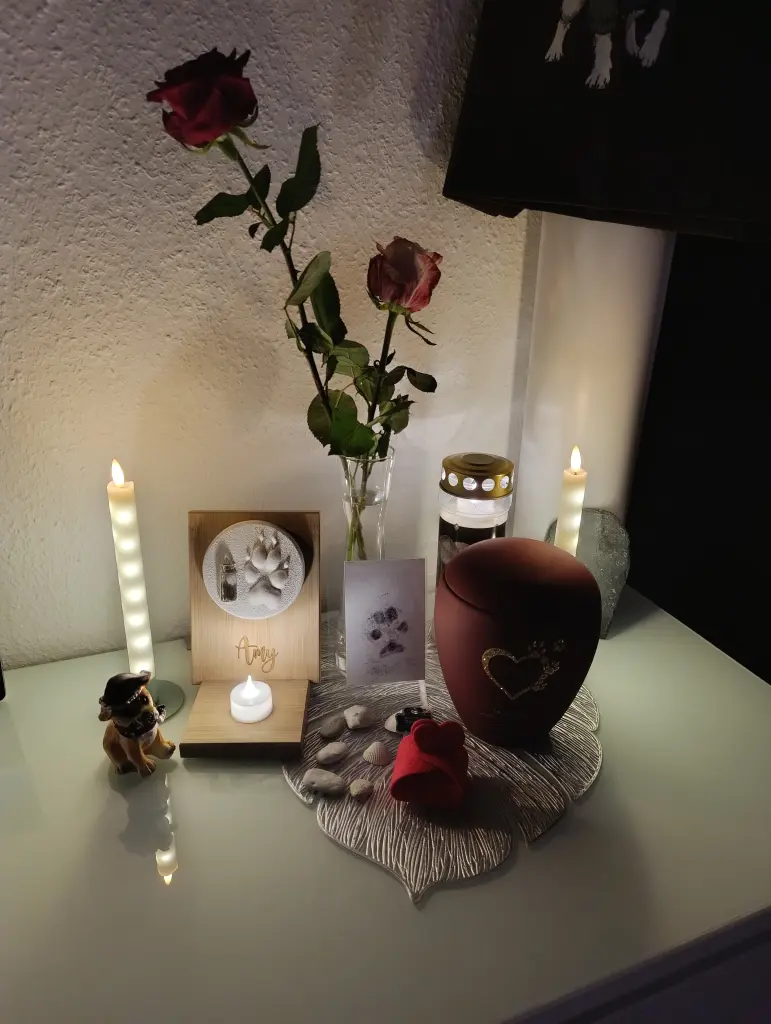 Bild von Amy