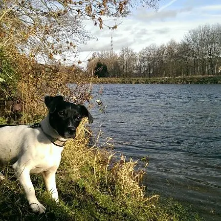Bild von Luna