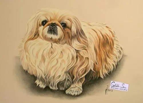 Image from Unbekannt