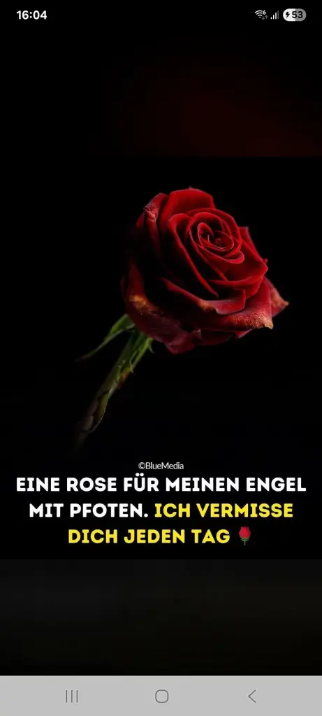Andachtsbild von Marina Mantel