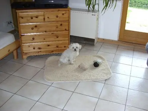 Image from meinen allerliebsten Shack