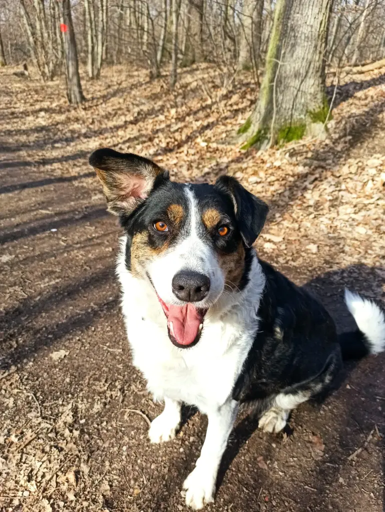 Bild von Bonnie
