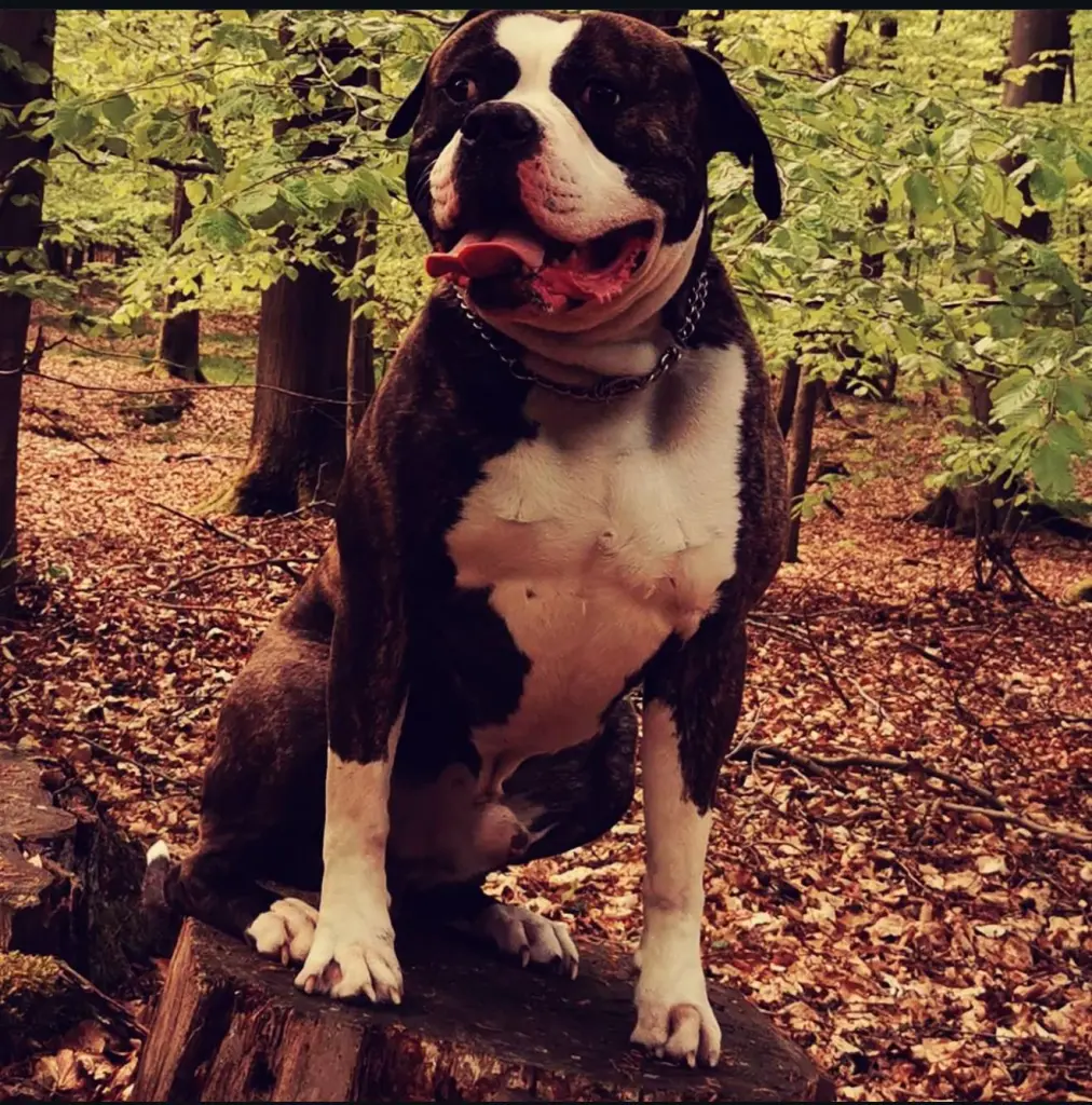 Andachtsbild von Jessica