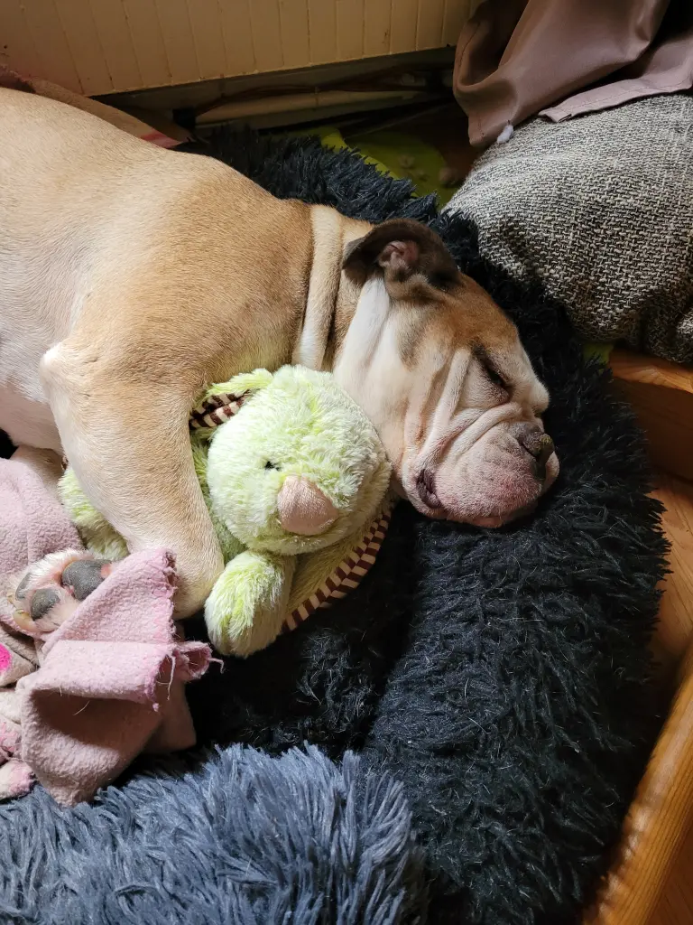 Bild von Carla