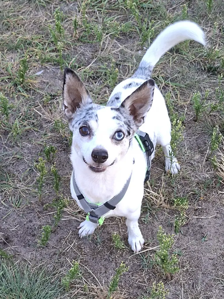Bild von Filou
