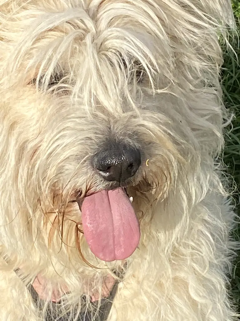 Bild von Cami