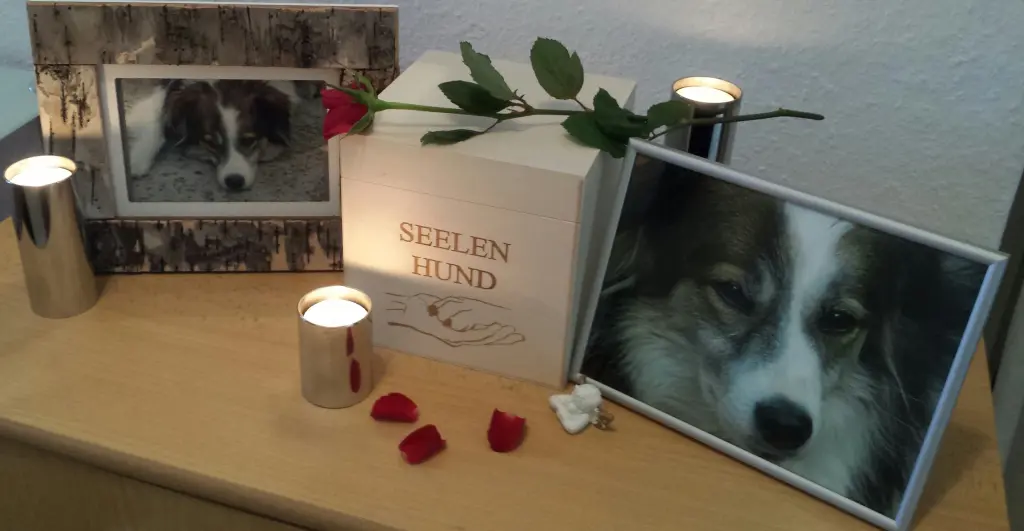 Condolence image of Unbekannt