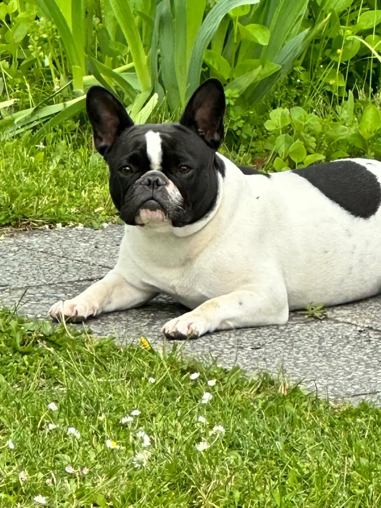 Bild von Gucci