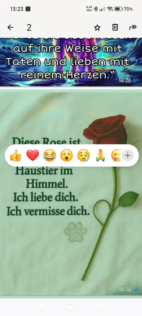 Condolence image of Alois und Gudrun mit Yoda ♥️