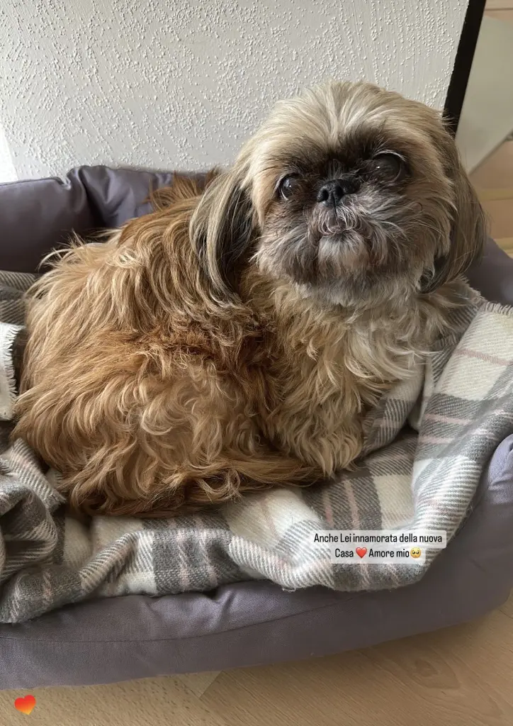 Bild von Naomi