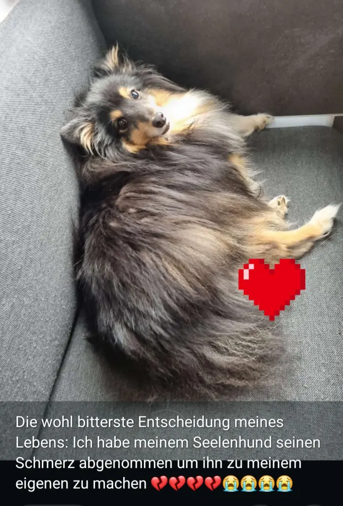 Image from Nico