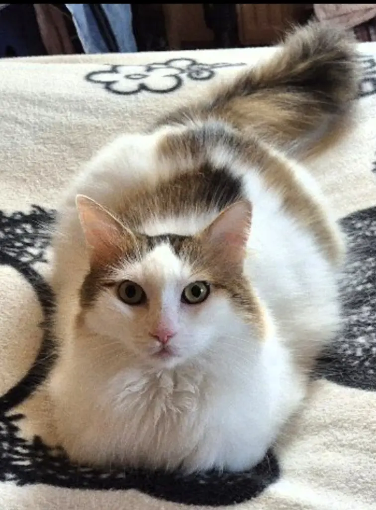 Bild von Charly
