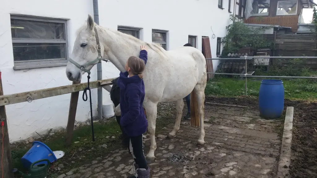 Erster Besuch 2012