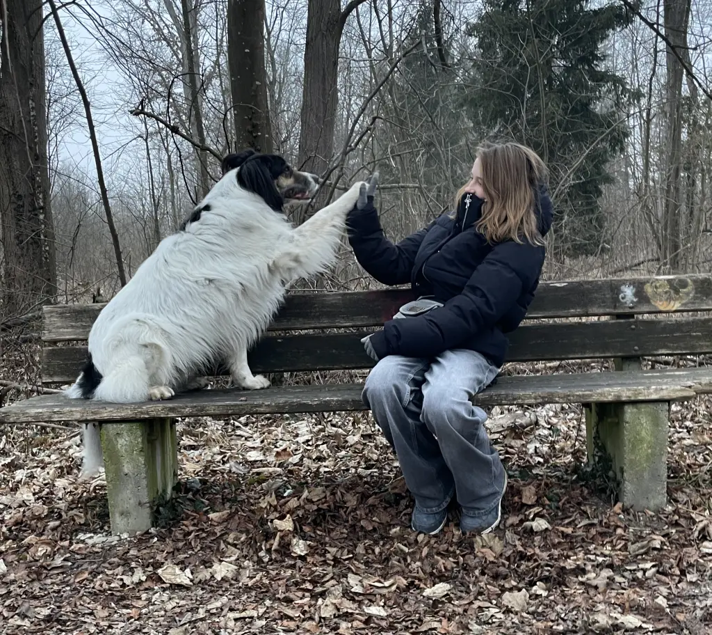 Bild von Loki