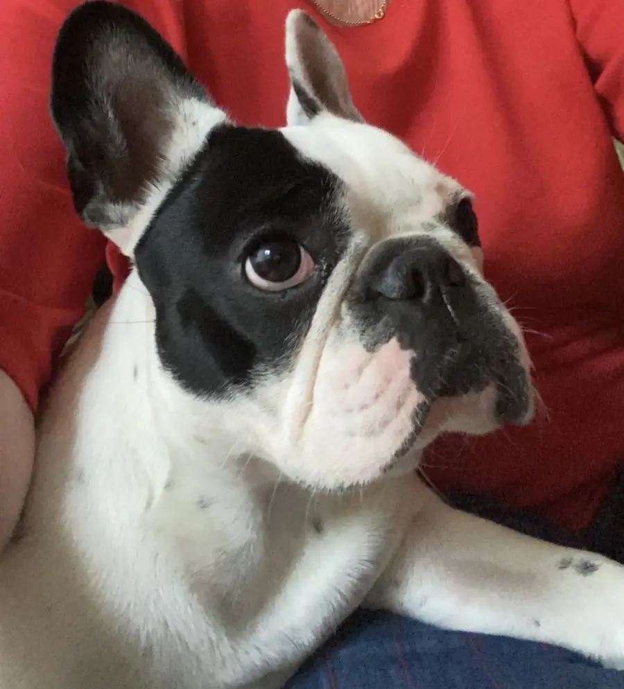 Bild von Bella