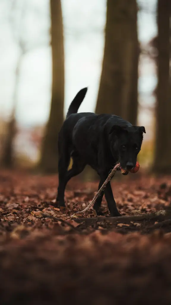 Bild von Limbo