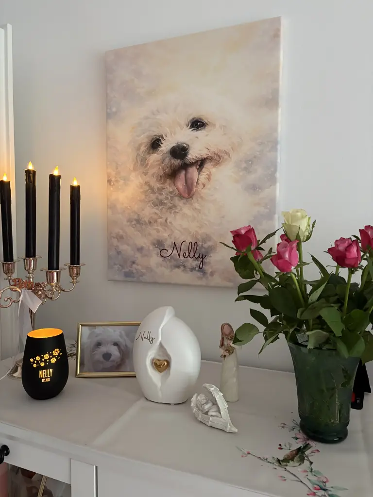 Bild von Nelly