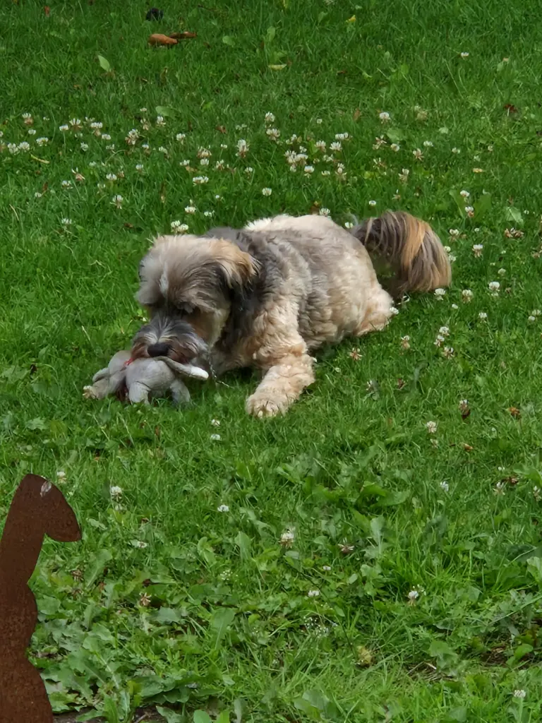 Bild von Basti