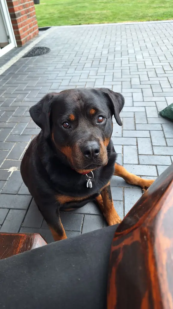 Bild von Cherry
