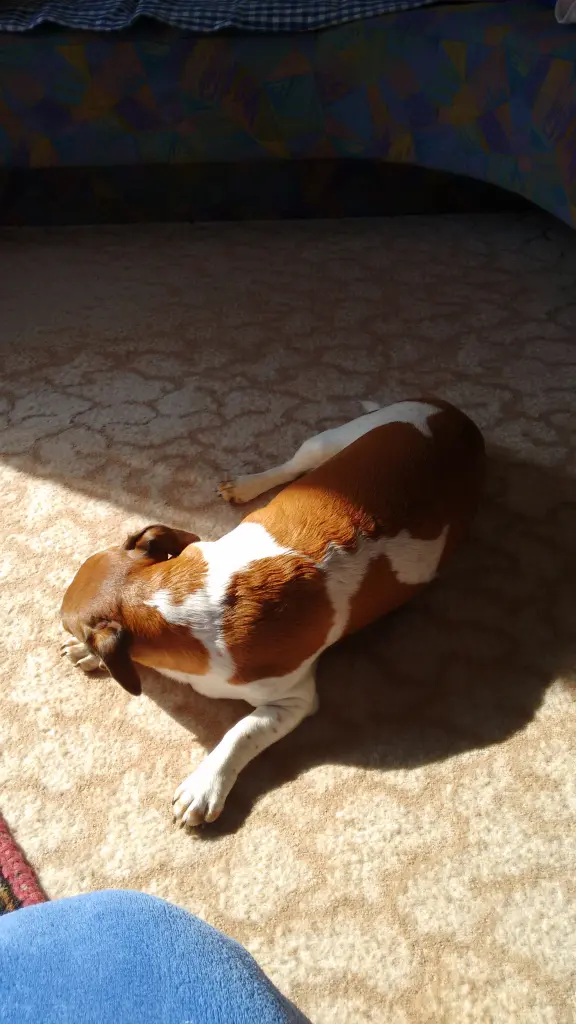 Andachtsbild von Natalie mit Maggy