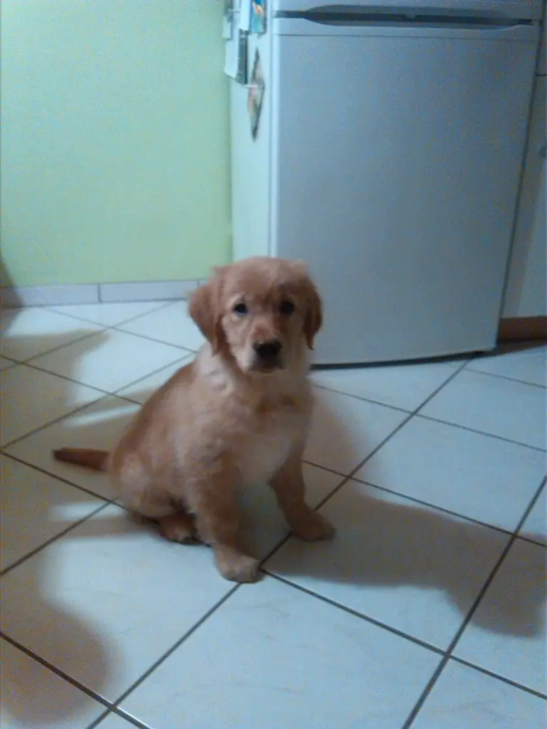 Image from Balu