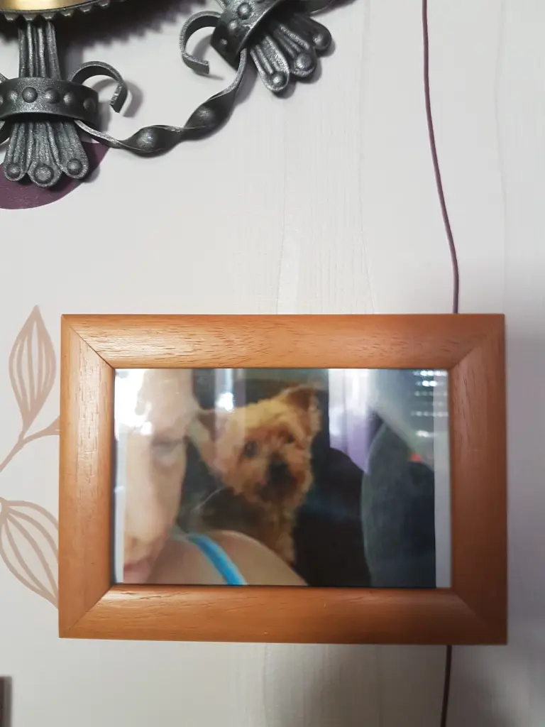 Condolence image of Rena