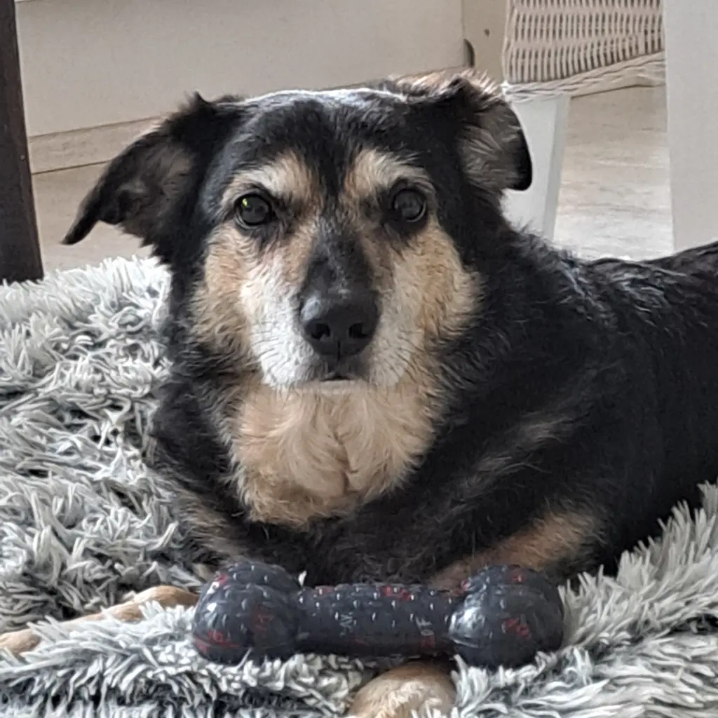 Bild von Max