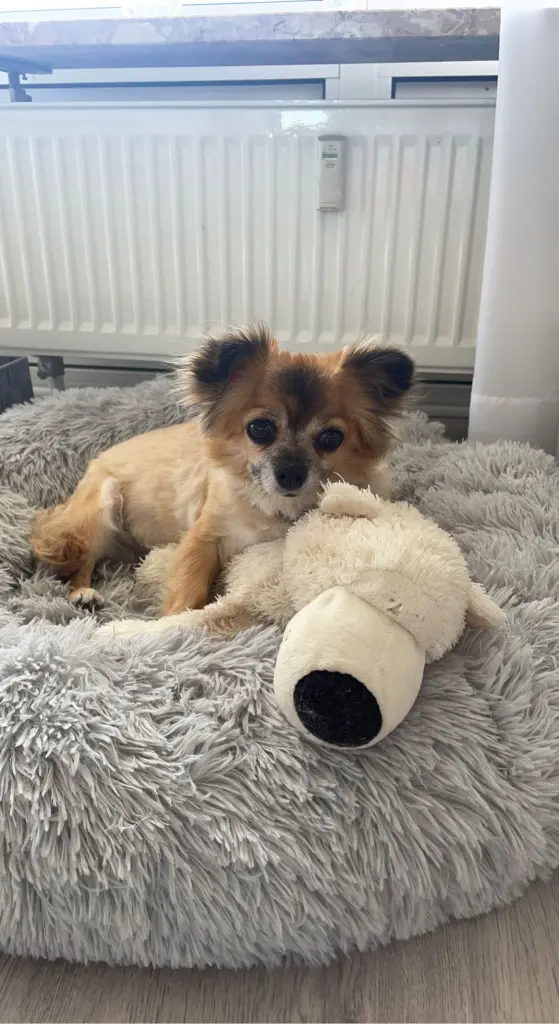 Bild von Stacey