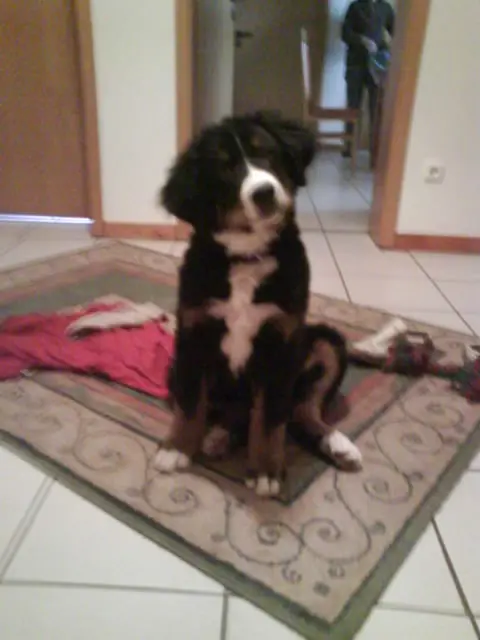 Image from Manfred     -Manni