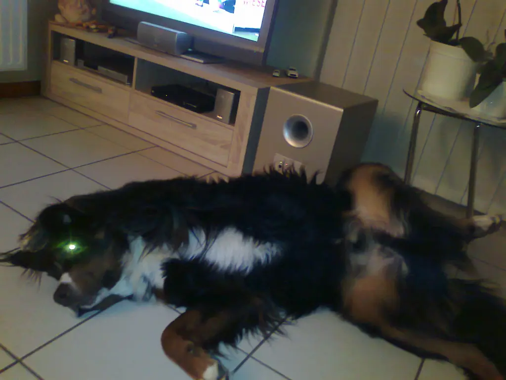 Image from Manfred     -Manni
