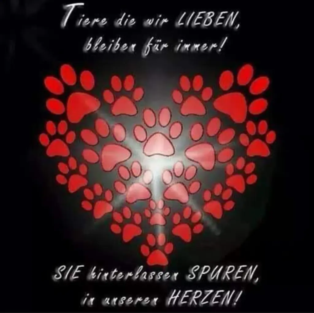 Condolence image of Katharina