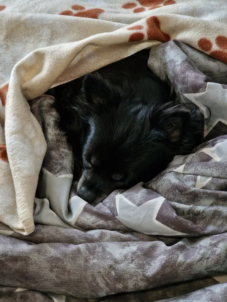 Früh am Morgen noch ganz verschlafen.