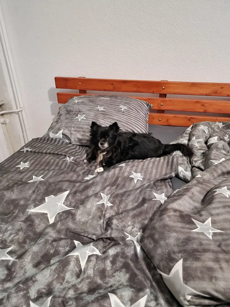 Hier ist es auch gemütlich.